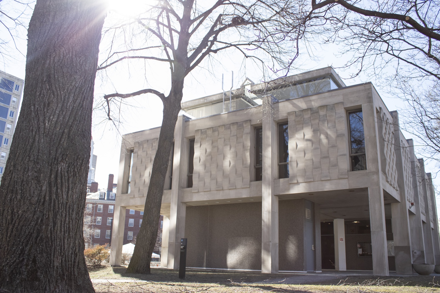 Lev Library 2021 | Multimedia | The Harvard Crimson