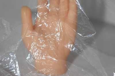 Cover image for Still Lives: Hand