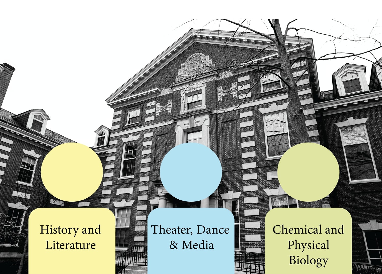 In addition to the full departments under the Faculty of Arts and Sciences, 10 nondepartmental degree programs overseen by Standing Committees of the FAS offer undergraduate concentrations.