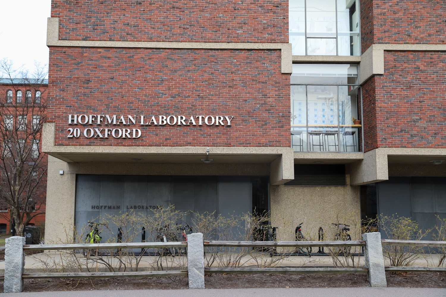 Hoffman Laboratory houses the Department of Earth and Planetary Sciences.