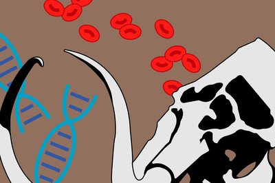 Cover image for The Return of the Woolly Mammoth
