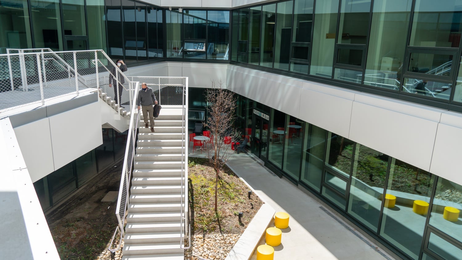 Similar to the sunken tree of Pusey Library, the SEC features a subterranean outdoor courtyard that opens up to surface level.