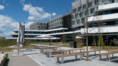 Cover image for Harvard-led Research Team Receives Department of Defense Award