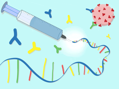 Cover image for Answering Your Questions about the Covid-19 Vaccine, in Animations