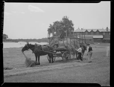 Cover image for Collecting Hay along Charles River near Harvard
