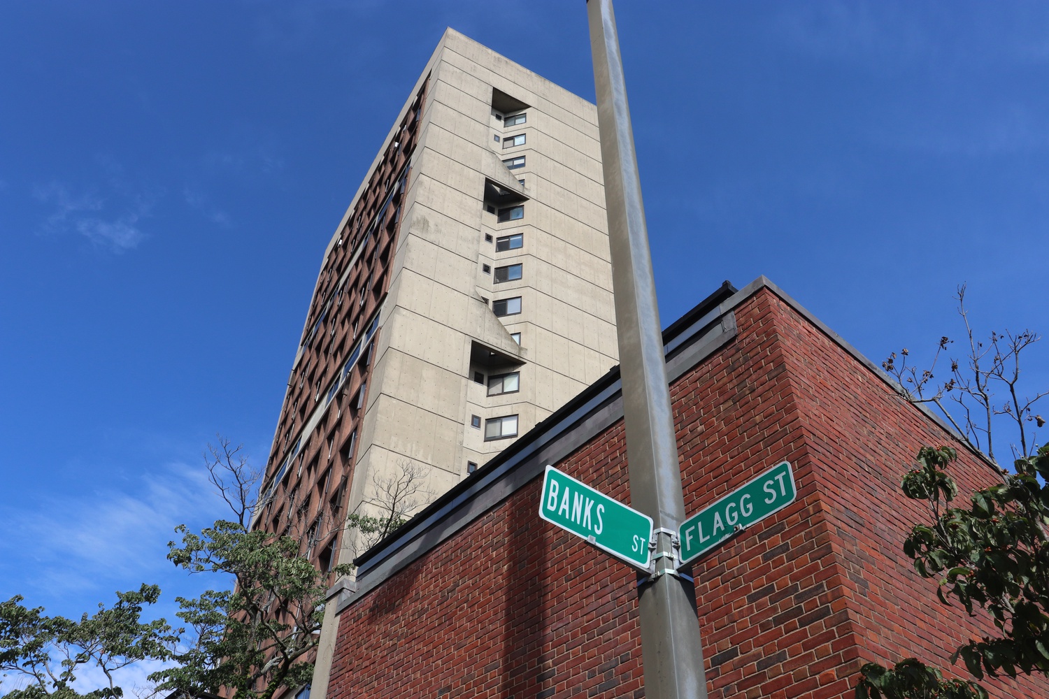Three Harvard affiliates were assaulted in separate incidents in the past week. One assault took place on the corner of Flagg and Banks Streets, near Mather House.