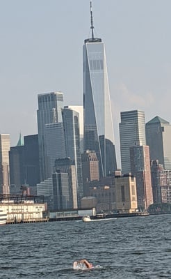 Cover image for Skyline Swim