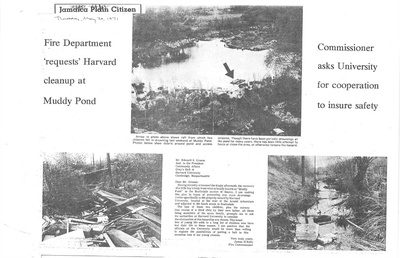 Cover image for Muddy Pond Debris