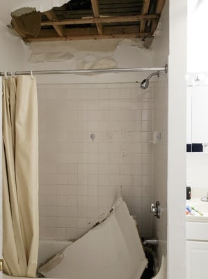 Cover image for Shower collapse
