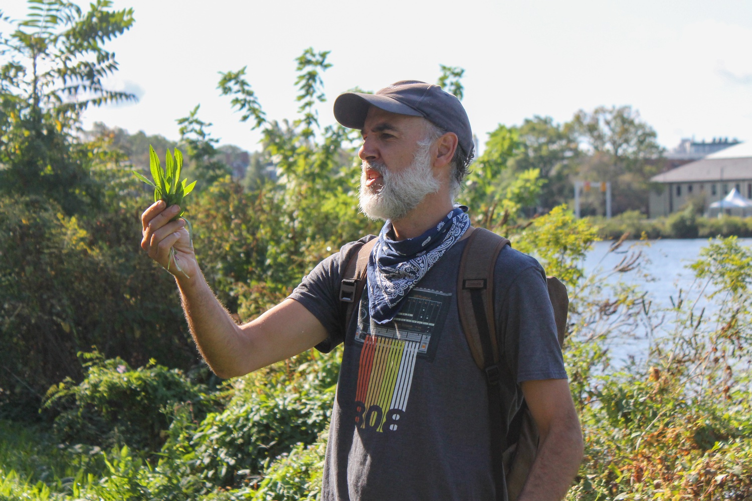 David L. Craft holds up part of a narrow-leaf plantain plant by the Charles River. Craft lead an urban plant foraging tour around Harvard, identifying a variety of different plants for participants.