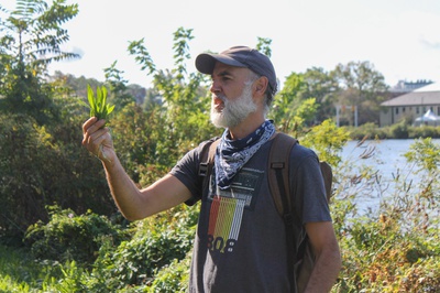 Cover image for A Cambridge Cornucopia