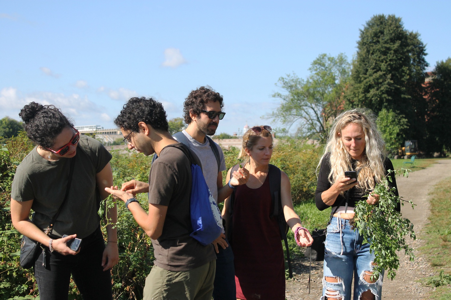 Participants on the plant foraging tour look at plants by the Charles River. The tour was free for participants and hosted by Fjällräven Cambridge.