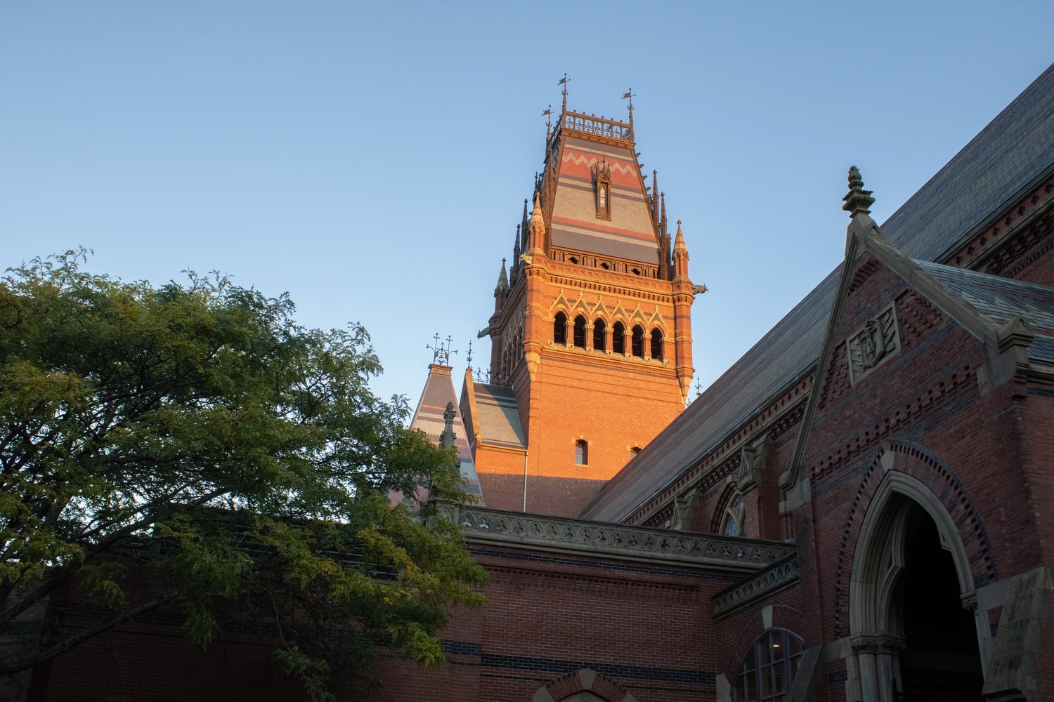 In collabroation with 30 other universities, Harvard Students for Myanmar raised more than $60,000 for relief efforts following an earthquake in Myanmar on Friday.
