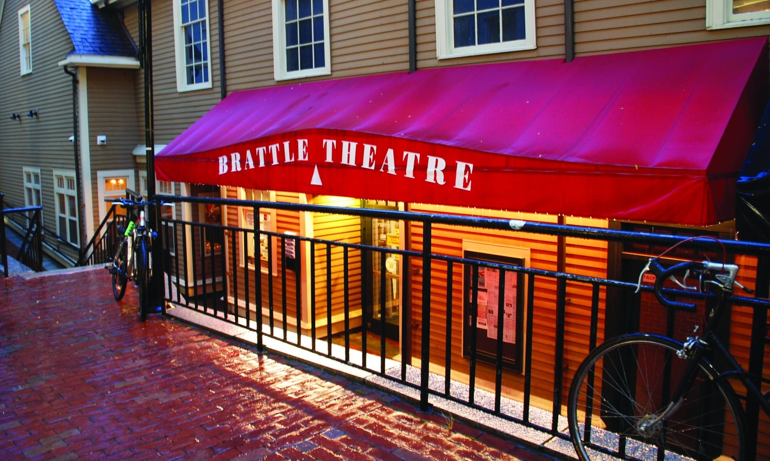 Tamara K. Lanier, who sued the University in March 2019 to gain the rights to historic photos of enslaved people she says are her ancestors, said the Brattle Theatre was the perfect place for the film to premiere, as it is in Harvard’s “backyard.”