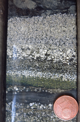 Cover image for Harvard Study Finds Ancient Asteroid Collisions Far More Common Than Previously Thought