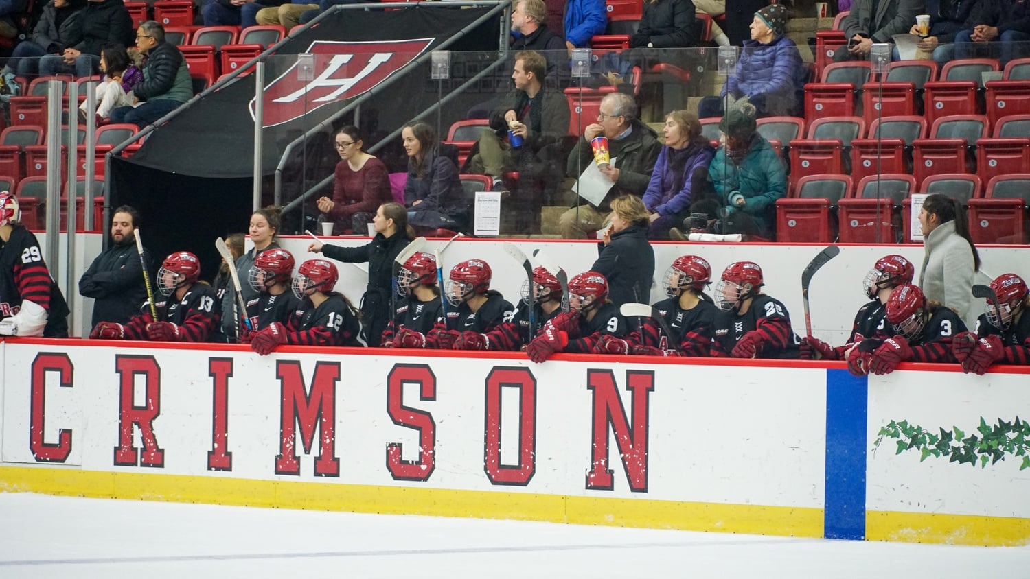 Head coach Katey Stone and her staff stand in the bench during the 2019-20 season.