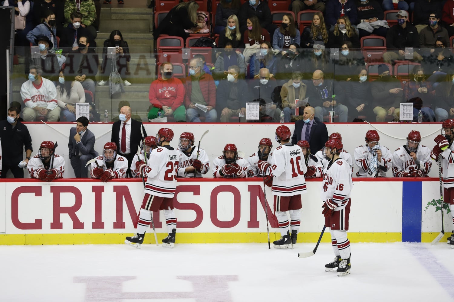 The Harvard bench gathers in a Nov. 5 win over Cornell, its third of the season. Tuesday's victory over Brown gave the Crimson its fifth win of the 2021-22 campaign, pushing its record to 5-2-1.