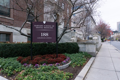 Cover image for ‘A Hard Stop’: How Harvard’s Dental School Graduated Every Student Despite a Pandemic Shutdown