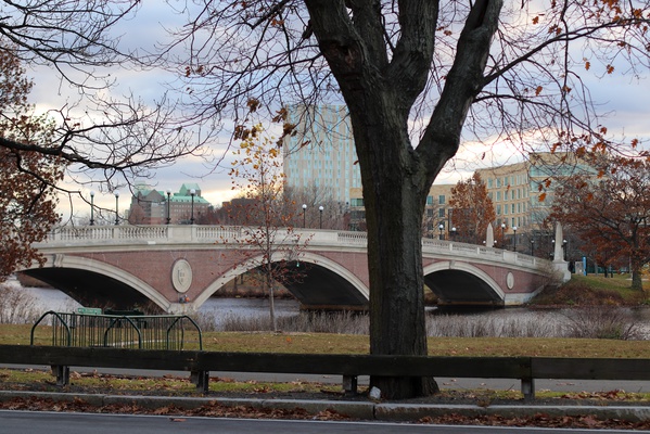 Cover image for A Day on the Bridge
