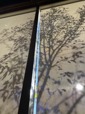 Cover image for Spaces as Shadows of Memory