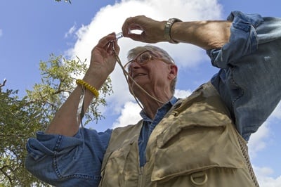 Cover image for E.O. Wilson 4