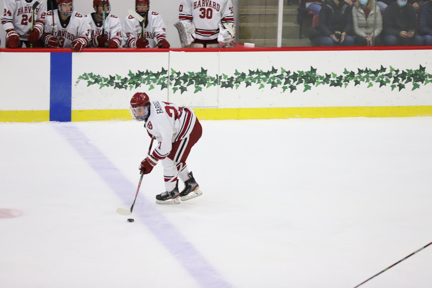Sophomore forward Sean Farrell controls the puck as he skates in front of the Harvard bench. Along with junior forward and team captain Nick Abruzzese, Farrell was named to the US National Team for the 2022 Winter Olympics in Beijing, China.