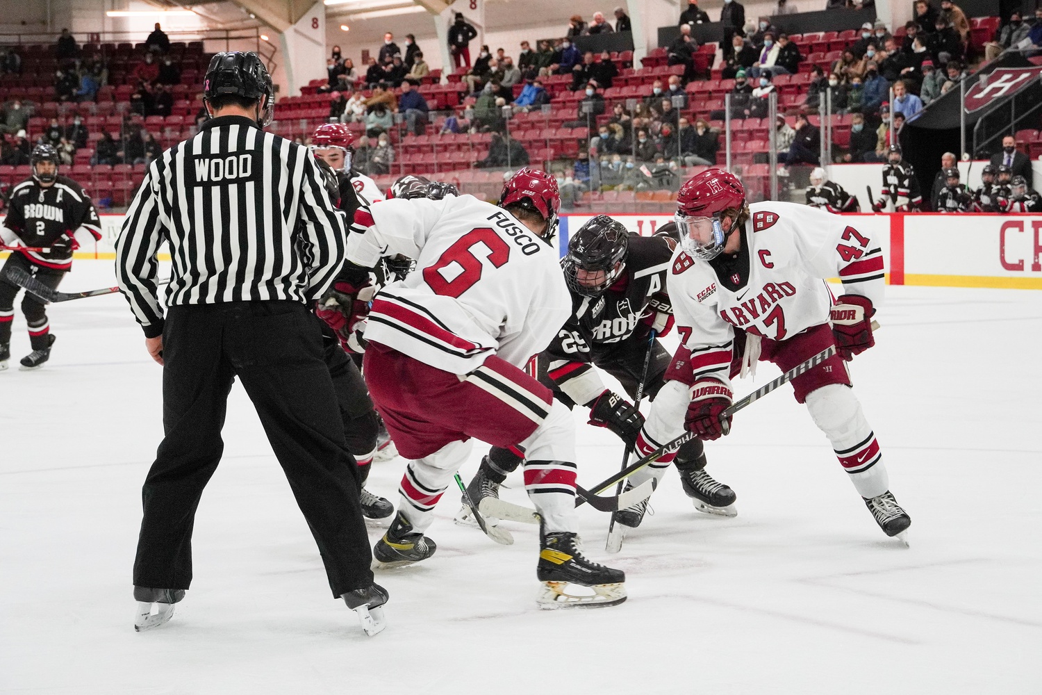 Senior forward Casey Dornbach and sophomore defenseman John Fusco team up against Brown at home on Nov. 23.
