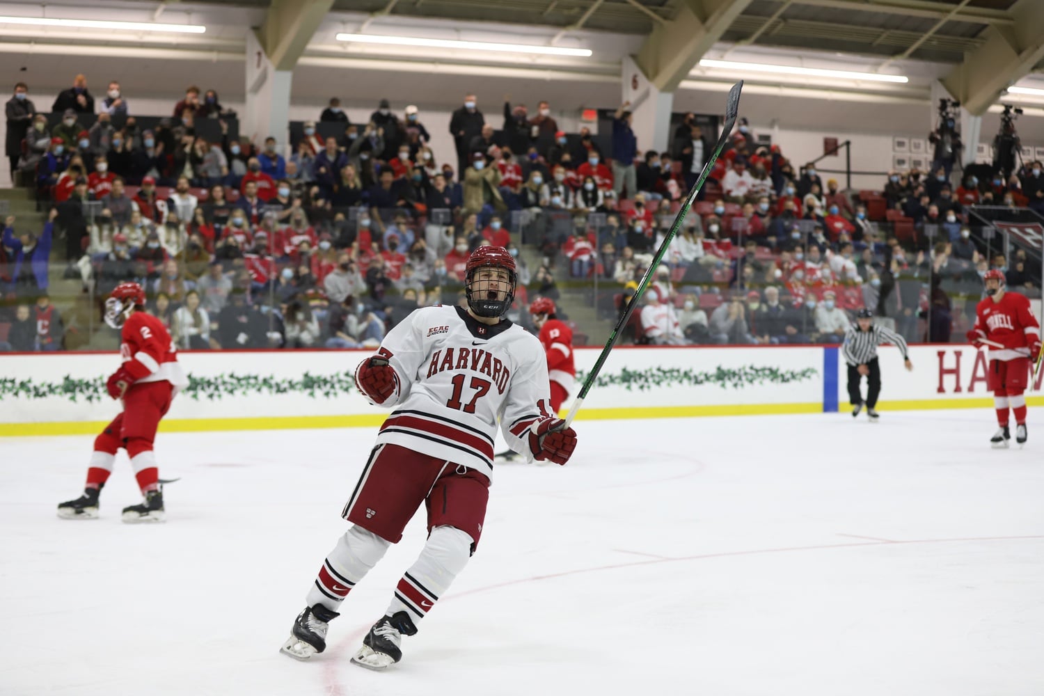 Junior forward John Farinacci celebrates during a 3-2 victory over Cornell on Nov. 5, 2021. Farinacci recorded two goals and two assists during the weekend's action.