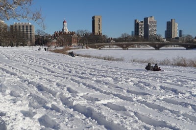 Cover image for Snow 3