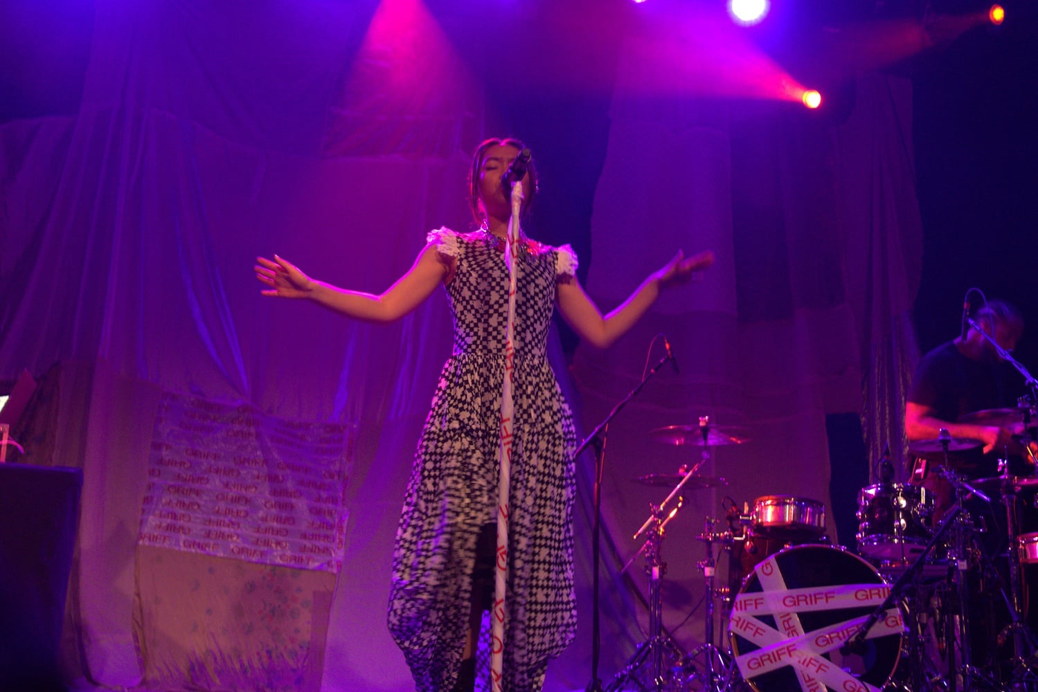 Griff Concert Image | Arts | The Harvard Crimson