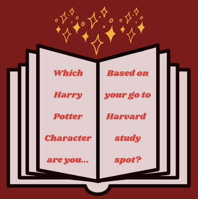 Cover image for ekr's harry potter graphic