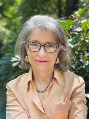 Cover image for Lise Van Susteren