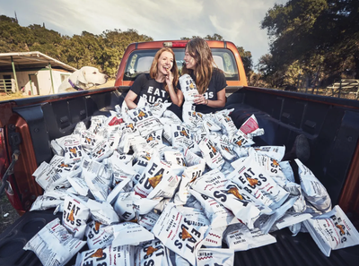 Cover image for EAT BUGS