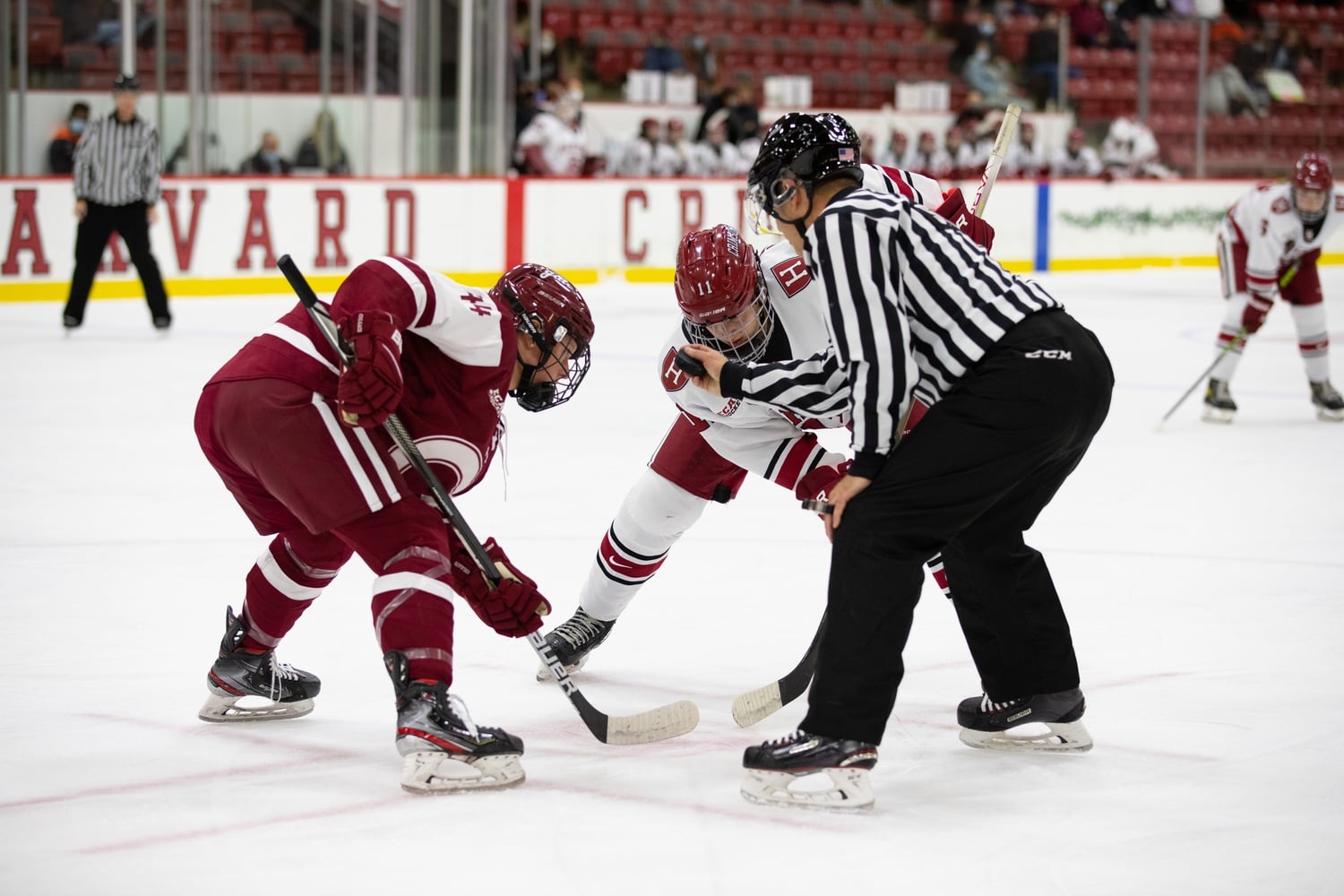 Junior forward Kristin Della Rovere awaits the puck drop in a faceoff in a 5-4 overtime loss against Colgate on Oct. 30. Della Rovere scored Harvard's winning goal in the 2-1 Game Two victory over Princeton.