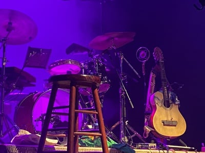 Cover image for Waiting for the Wood Brothers