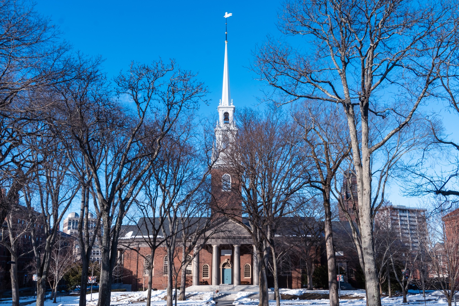 Located on the ground level of Memorial Church, the Student Oasis has a kitchen undergraduates can sign up to use.