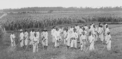 Cover image for Convict leasing children