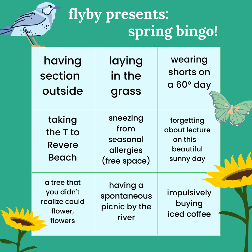 spring bingo | Flyby | The Harvard Crimson