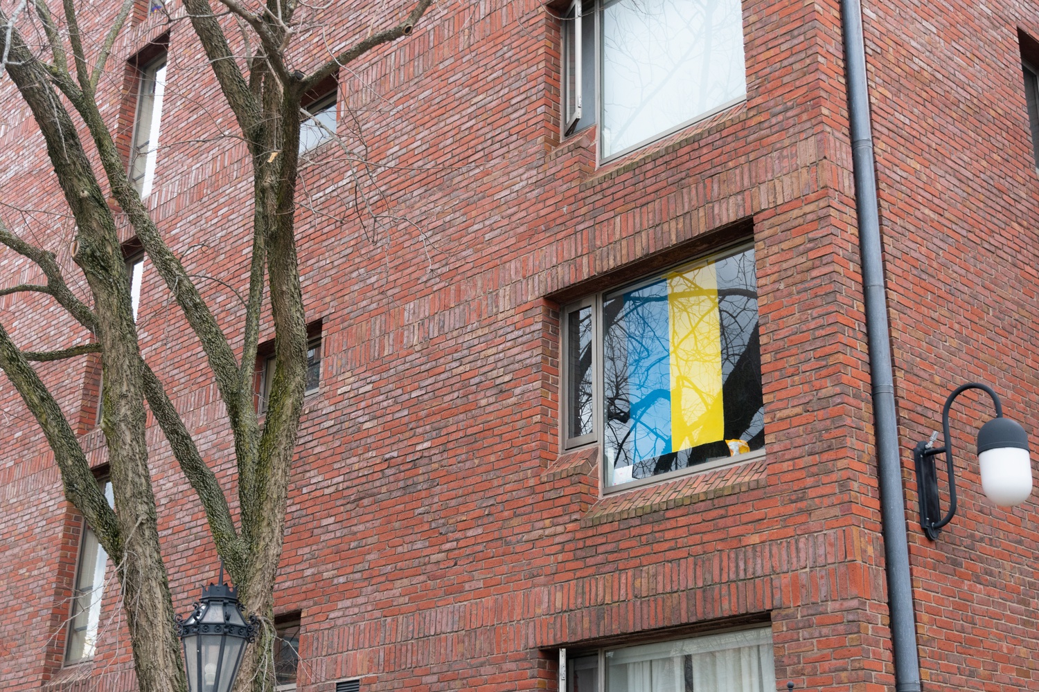 A Ukrainian flag hangs in a student's dorm room window.