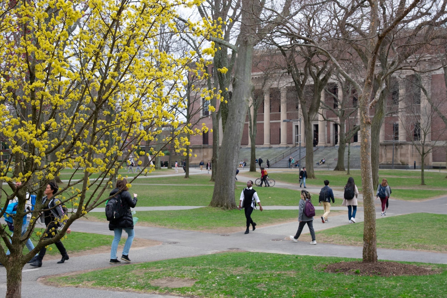 Outside of the freshman Yard, students over twenty-one can legally possess and consume alcohol — but not cannabis — on Harvard's campus.