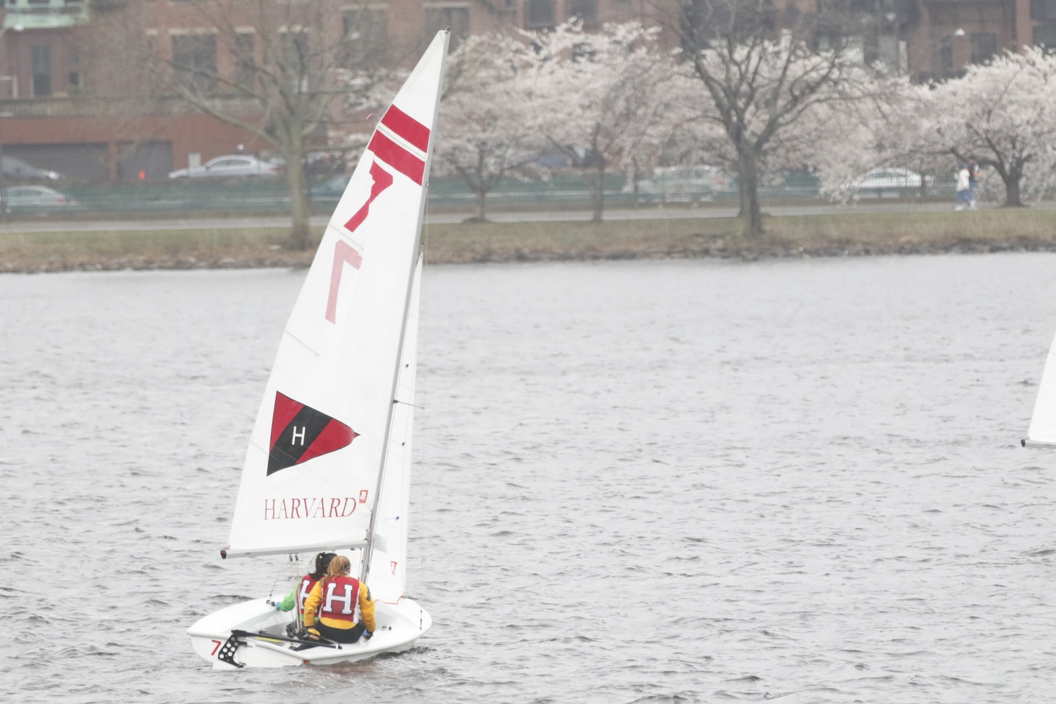 Harvard sailing participates in the NE Women's Championship on April 20, 2019. Over the weekend, the Crimson competed at the interconference Marchiando Team Race, the Dellenbaugh Trophy (NEISA Women's Team Race Championship), and the BU Trophy Fleet Race.