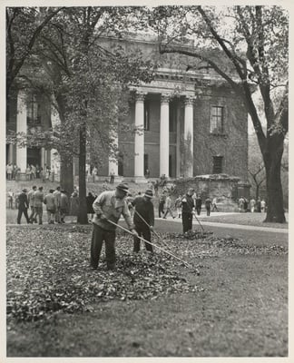 Cover image for The Ghostly Outlines of Harvard's Fallen Foliage