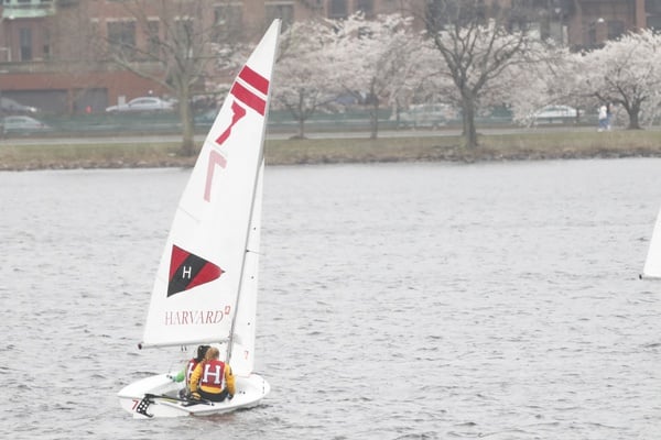 Cover image for Weather Disrupts Harvard Sailing’s Third Weekend of Competition