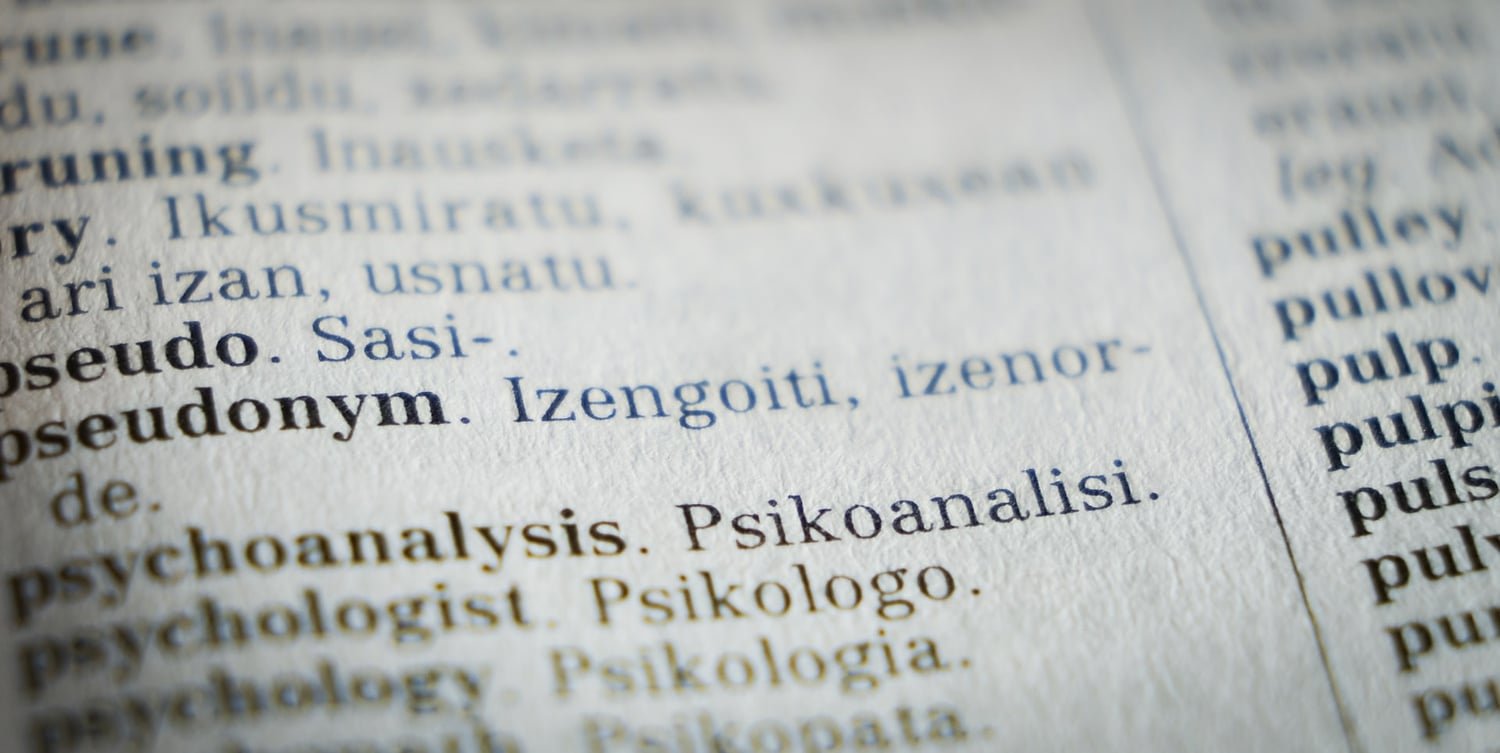 An image of a Basque-English dictionary. As a language isolate spoken by less than a million native speakers, Basque presents an interesting but important challenge for translators of literature.