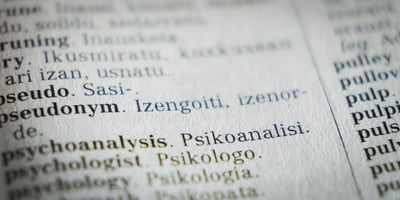 Cover image for The Words We Lose: The Merits and Disadvantages of Reading Translated Literature