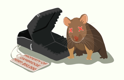 Cover image for Rat Traps Levity