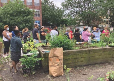 Cover image for Community Garden