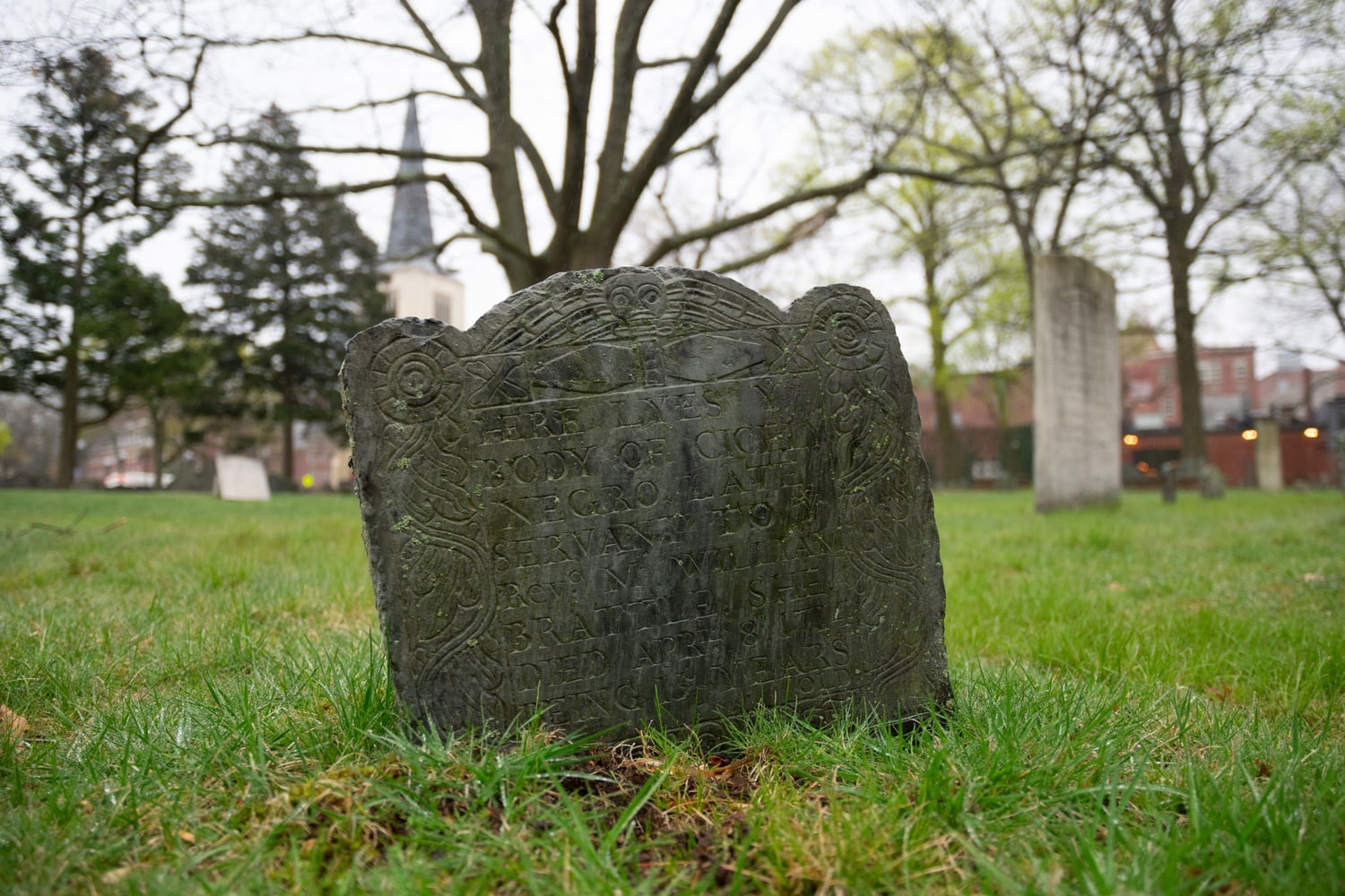 A headstone for Cicely — a Black woman who was enslaved by Harvard treasurer William Brattle, Class of 1722 — sits in Cambridge’s Old Burial Ground, located just to the West of Harvard Yard.