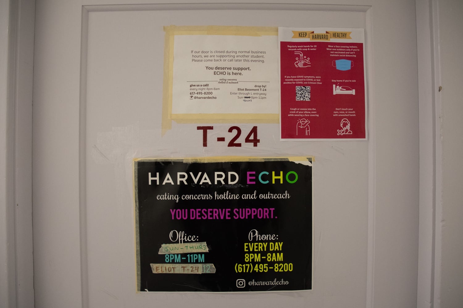 Eating Concerns Hotline and Outreach, or ECHO, is a peer therapy group which focuses on eating disorders and body image. But like all the groups, ECHO seems to be underutilized.