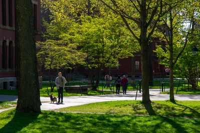 Cover image for 74 Harvard Undergraduates Awarded 2023 Hoopes Prize